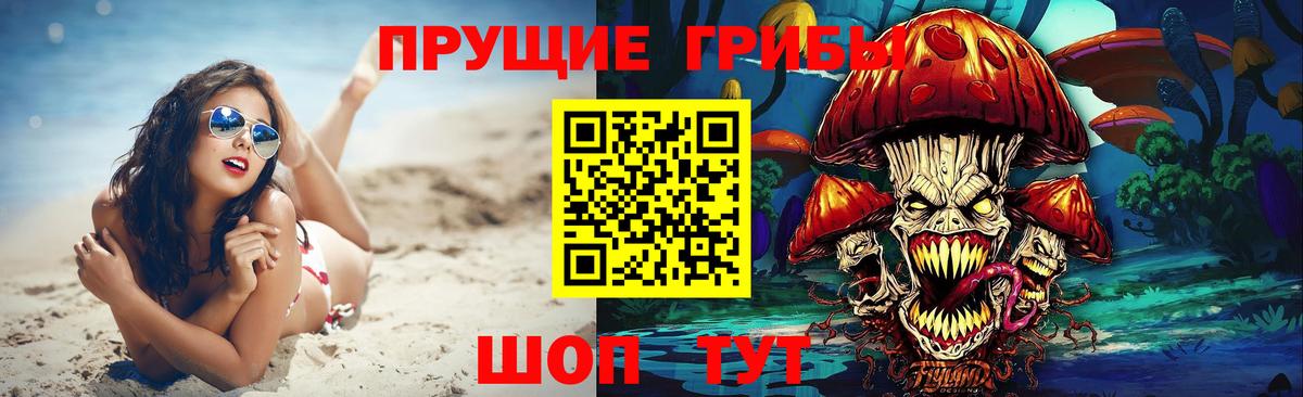 Пугачёв  Псилоцибиновые грибы Psilocybine cubensis  Псилоцибиновые грибы мицелий  Вход с VPN 
